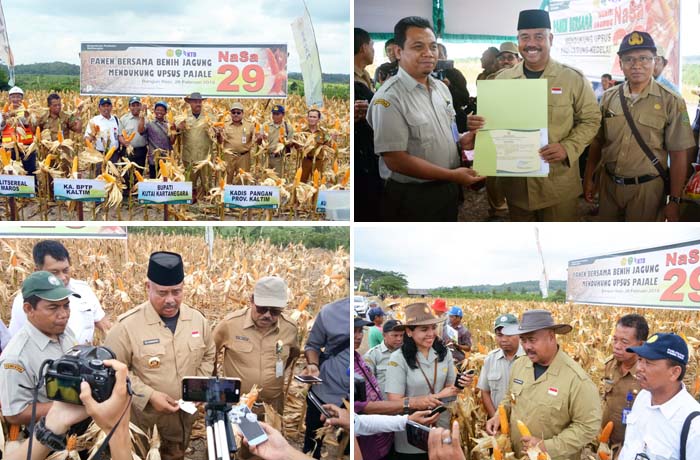 BPTP Kaltim Libatkan Perguruan Tinggi Dukung `Kukar Lumbung Jagung`